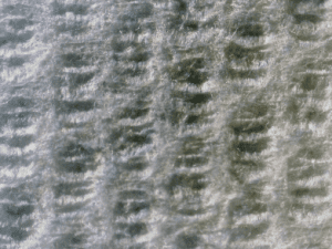A close-up example of structured one ply