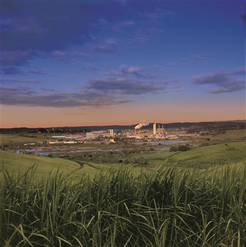 Sappi’s Stanger site is surrounded by its primary fibre source in KwaZulu-Natal
